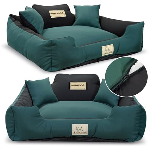 Letto per Cani Grande Taglia L 100x75 cm | Personalizzazione - Nome del Cane | Copertura Rimovibile e Lavabile | Divano per Cani Adatto al Lavaggio | Base antiscivolo | Cuccia Cane Interno Verde