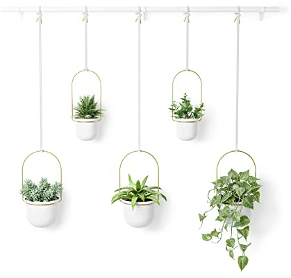 Umbra Triflora Vase, Hängeblumentopf, Wandvase, Blumenampel für Wand- und Deckenanbringung, 5 Töpfe, Weiss/Messing