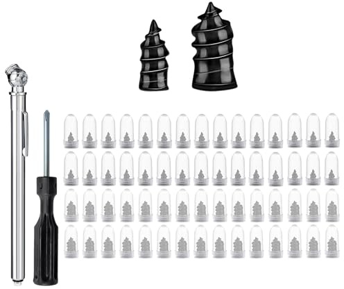 DuDuZui 60 Piezas Kit Repara Pinchazos Coche, Clavo de Goma para Neumáticos con Destornillador, para Coche, Moto, Bicicleta, Camión, con 1 Manómetro de Presión para Neumáticos a Lápiz (30S+30L)