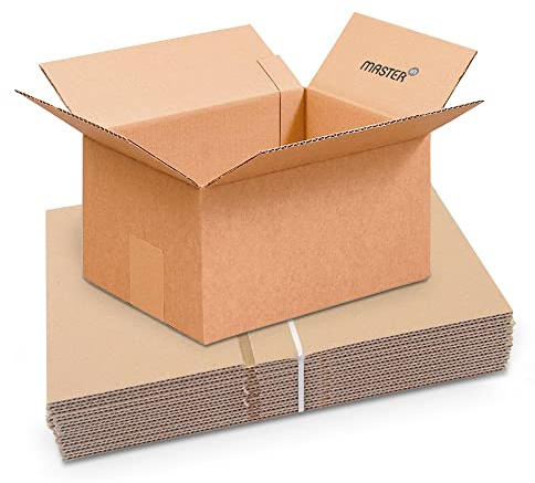 Master'in - Låda med enkel räfflad kartong - brun - 310 x 220 x 150 mm - set med 20 lådor