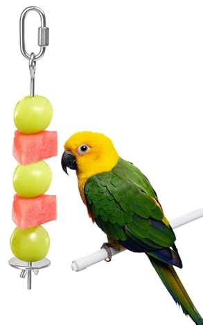 Fågel Fruktskewer Rostfritt Grönsakspåle Matare För Finkar | Belöningsspett För Fåglar Till Bur Macaw Kakadua Örkendjur Småfåglar Och Sällskapsdjur