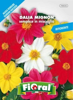 Sementi da fiore di qualità in bustina per uso amatoriale (DALIA NANA MIGNON SEMPLICE IN MISCUGLIO)