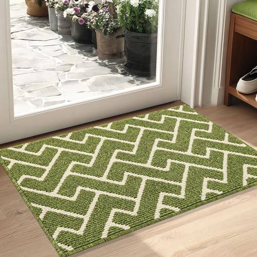 Biscpro Zerbino Interno 50x80cm,Tappeto Lavabile,Tappetino Entrata Asciugapassi Antiscivolo per Interni ed Esterni, Casa e Ufficio, Porta, Corridoio,Ingresso