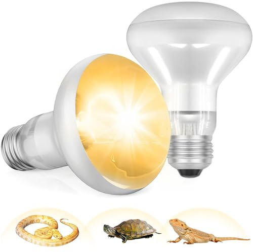 Dinhauyon Lampe chauffante pour reptiles E27, 2 ampoules chauffantes, aide à la santé et à la vision des couleurs des tortues, des lézards, des serpents et de tous les reptiles (220-240 V, 100 W)