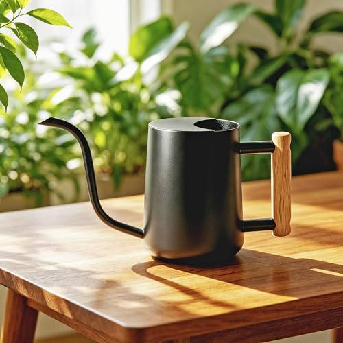 Bamworld Annaffiatoio da 35oz (1 Litro) per Piante da Interno in Acciaio Inossidabile - Annaffiatoio Piccolo per Interni, Esterni, Giardino e Fiori (Nero)