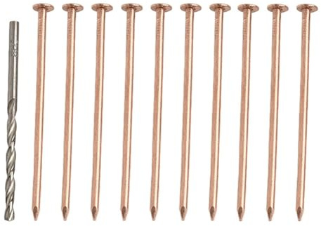 4 Inch Copper Nails for Removing Tree Stumps Effective Root For Killing Solution