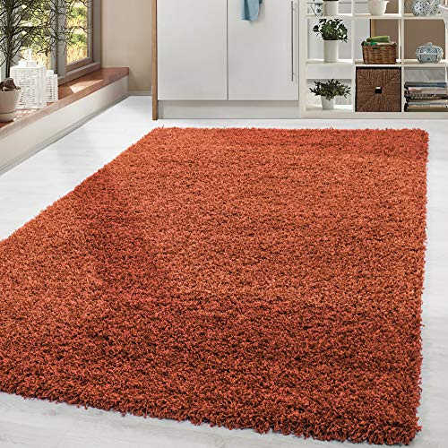 HomebyHome Shaggy Teppich 300x400 cm XXL für Wohnzimmer - Shaggy Teppich Hochflor Terrakotta Extra Weich und Flauschig - Langflor Groß Teppiche für Schlafzimmer, Esszimmer, Küche, Flur - Carpet, Halı