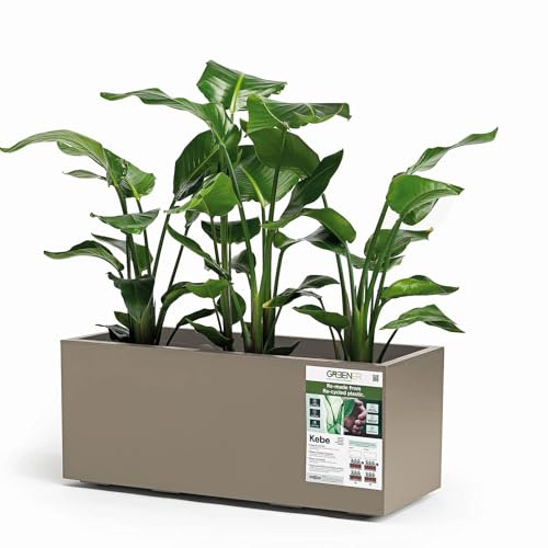 Euro 3 Plast Kebe Kiste aus recyceltem Kunststoff mit integriertem Wasserspeicher, 100 cm, Farbe Taupe