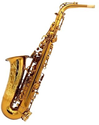 Professionell Saxofon Mörk Guldlackerad Es Mallad Altsaxofon Med Fodral