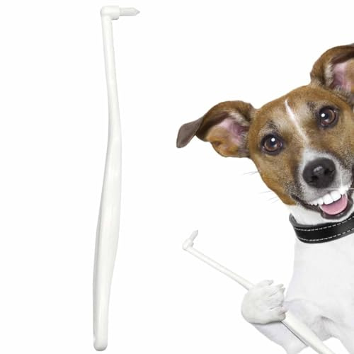 Cilindro per spazzolino per gatti - Mini spazzolino ergonomico per animali domestici, igiene orale con setole morbide | Strumento per la pulizia dentale per cuccioli gatti piccoli animali, manutenzion