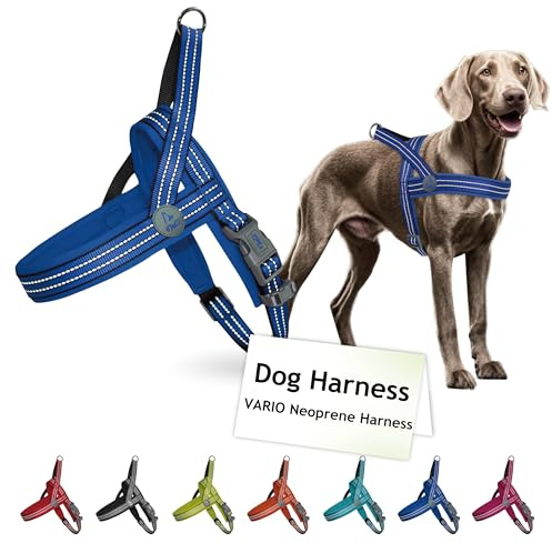 DOCO No-Pull Dog Harness for Small Sized Dog, Halter Reflective Easy-Control Harness for Training, Walking, and Preventing Pulling, Breathable Design - Navy Blue