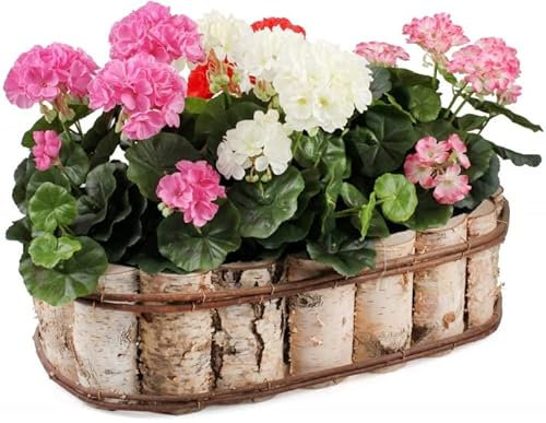 KOTARBAU® Vaso da fiori ovale in legno di betulla naturale con pellicola interna per il balcone (55 x 32 x 15 cm)