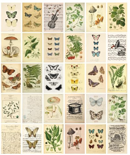 HOSTEESSCHOICE Vintage Collection Postcard Set Retro Style 30 PCS 4x6 in Botanical Butterfly Flower Mushroom Nature Postcards