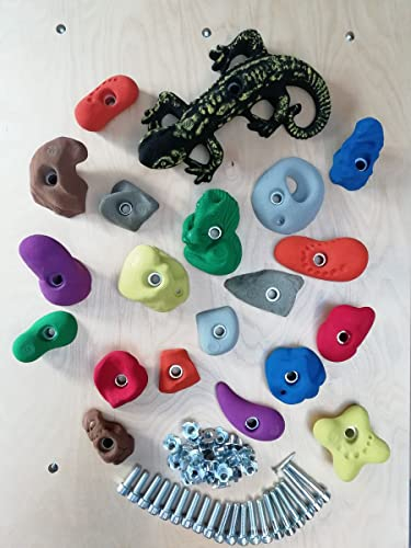 20 Stück Klettergriffe für Kinder Vielfalt - Profi-Klettergriffe für Spielplatz und Kinderzimmer, zum Klettern für Kinder mit Befestigungsmaterial und Montagehinweisen