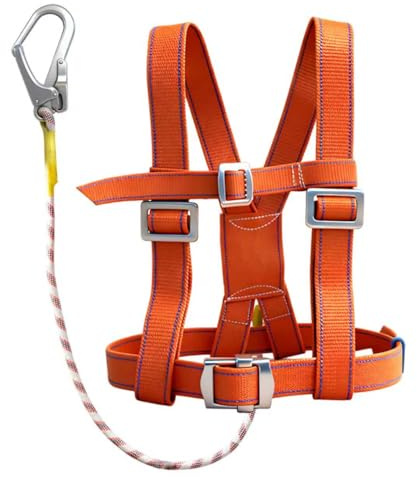 Ceinture de sécurité anti-chute pour homme - Charge maximale : 100 kg - Avec corde de 2 m et mousqueton en acier - Équipement de protection contre les chutes - Pour travaux en hauteur, couvreurs