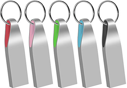 USB Stick 2GB 5 Stück Metall Speicherstick USB 2.0 mit Schlüsselring Mehrfarbig