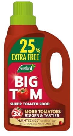 Westland Big Tom Super Tomato Food - Tomato Fertiliser for Bigger, Juicier Tomatoes, High in Potash, Promotes Healthy Growth, Ideal for Outdoor & Greenhouse Tomatoes (1.25L)