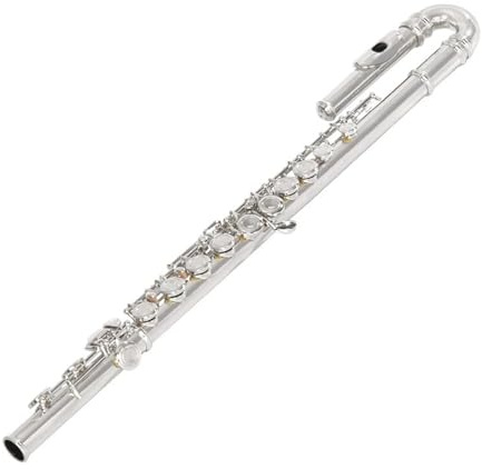 tvärflöjt instrument Flöjt C-tangenten flöjt professionellt spelar nybörjarinstrument