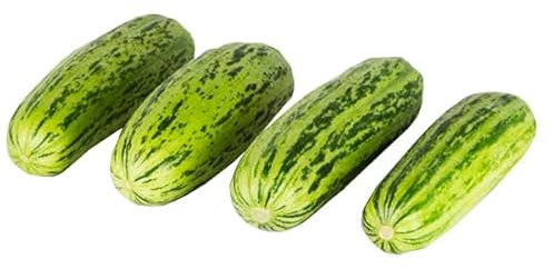 La zappa Semi di carosello piante per orto e giardino (Scopatizzo barese)