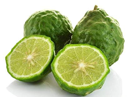 Kaffir-Limette Citrus Hystrix – 70–100 cm Stämmchen | Echter Kaffir-Limettenbaum | Intensives Aroma | Exotische Zitruspflanze für Garten & Küche | Ideal für Thai-Küche, Cocktails & Duftöl