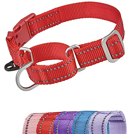 YUDOTE Reflekterande martingale hundhalsband flyktsäker anti-drag träningskollage med säkerhet snabbfrigörande spänne för smala huvuden lätta promenader, liten röd