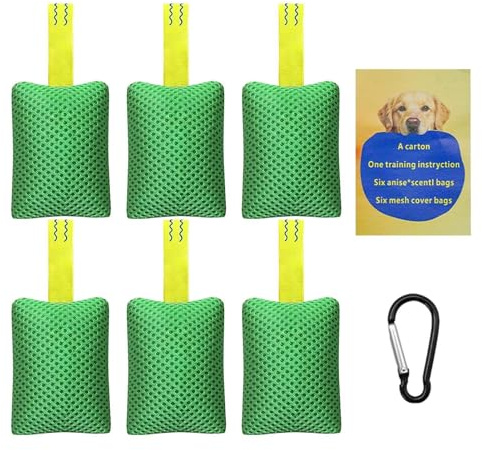 Équipement d'entraînement à l'agilité canine Set Interactif Apprentissage | Équipement Entraînement Agilité Canin Pour chiot intérieur plage piscine arrière-cour extérieur cour jardin parc