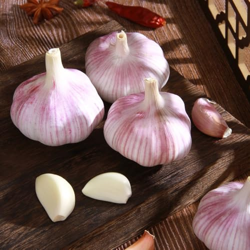 semillas de ajo orgánicas culinarias, comprar de ajo de perennes, 60pcs