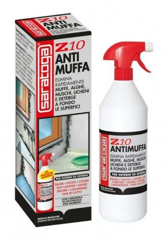 SARATOGA , Saratoga Z10 - Spray antimoho para eliminar el moho, algas, musgo y líquenes, para uso interior y exterior, pulverizador ergonómico, 1 litro