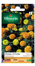 Vilmorin - Sachet graines Rose d'inde naine variée