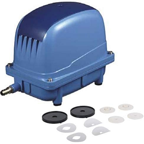 AquaForte AP-100 Luftpumpenset, Luftpumpe inklusive Ersatzmembranen 65 Watt, Kap. Bei 2 Meter 70 Liter pro Minute, Max. Förderhöhe 3,8 Meter, 3,6 kg, Ausgang 18 Millimeter