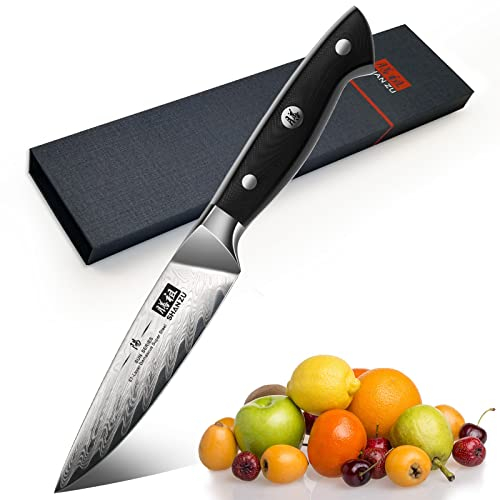 SHAN ZU Couteau d'office Damas 9,5cm, Couteau à Fruits et Légumes, Petit Couteau Cuisine en Acier Damas (AUS-10) Japonais, Poignée Ergonomique G10 - SUN Series