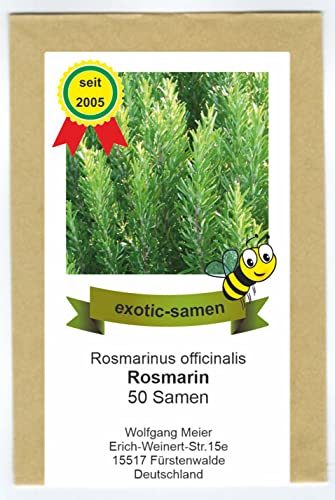 Rosmarin - Bienenweide- Rosmarinus officinalis - 50 Samen