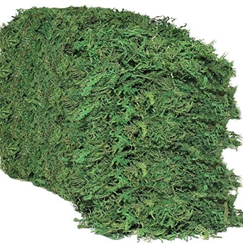 Cigoby 35 OZ Artificial Moss for Fake Plants and Planters - Decorative Faux Moss for Craft and Home Decor
