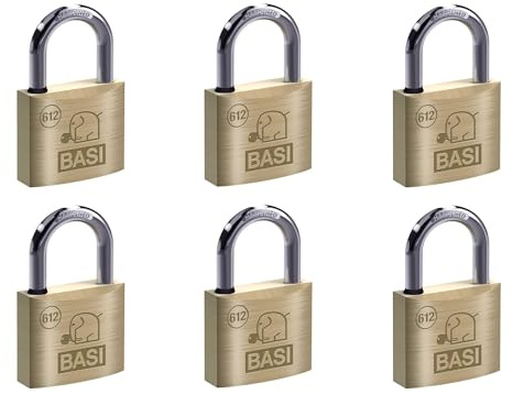 BASI | Vorhangschloss 6er Set | 30 mm | mit Wasserstopp | gleichschließend | massives Messing-Gehäuse | gehärteter Stahlbügel | stabiles Vorhängeschloss | Bügelstärke 5 mm | 6 Stück