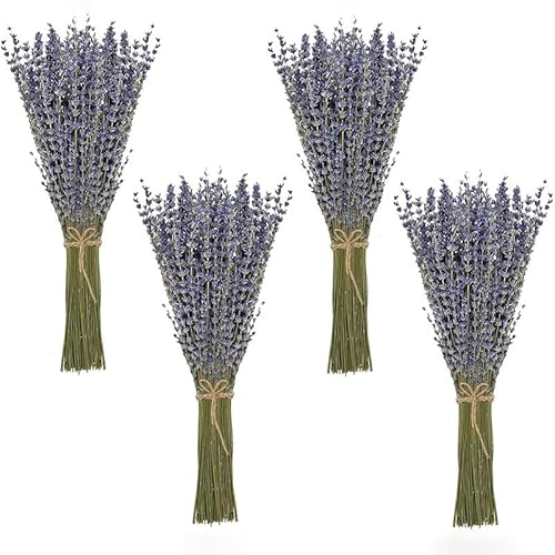 TXDAMAI Ramo seco de Lavanda 100 Tallos 42 cm de Largo Lavanda Provenza Ramo seco de Lavanda Ramo seco de Flores secas