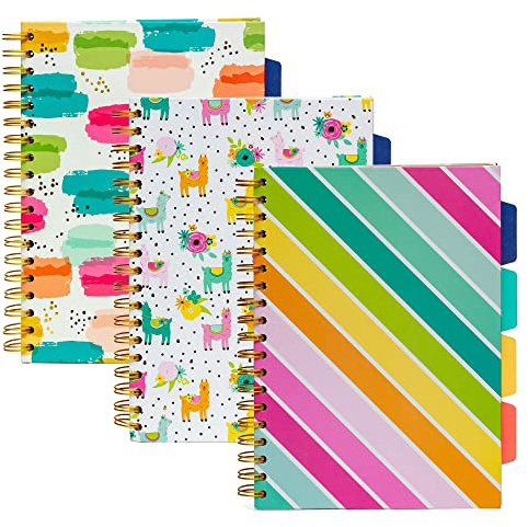 Pukka Pad, Carpe Diem 5-Project Double Spiral Bound Notebook 3-Pack with Repositionable Dividers - 200 Pages of 80GSM Paper with Perforated Edges – Color Wash, B5 10 X 7in