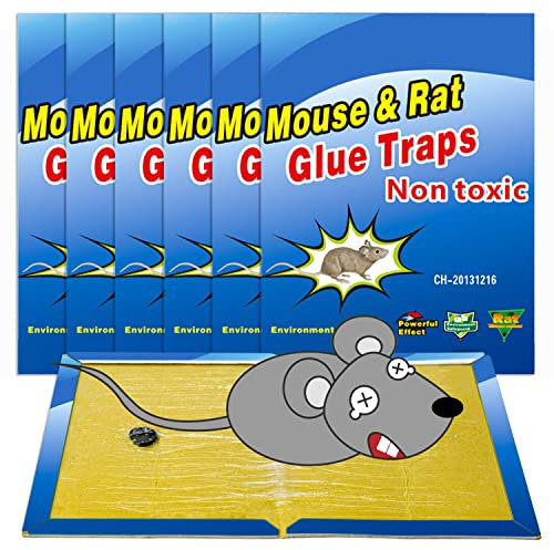 Wanke Piège à Souris Pièges à Rats, 6 Plaques Collantes Souris, Plaques de glu Anti Souris Anti Rat - Grande Taille 8x12