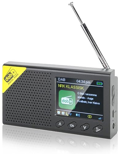 Inefala Radio DAB portatile, radio DAB Plus/FM con Bluetooth e 20 preimpostazioni, radio da cucina con cavo USB, supporta la ricarica USB e la connessione AUX