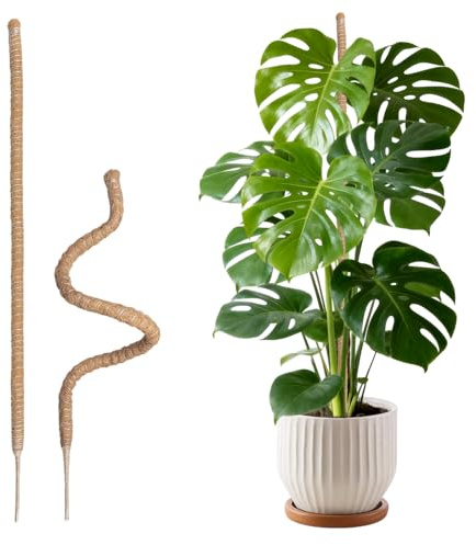 Wigearss 2 Pezzi Bastone di Muschio, Palo Cocco Piante Sostegno Piante Supporti, Pieghevoli Fibra di Cocco, Tutore Muschiato per Monstera Rampicanti, 120cm