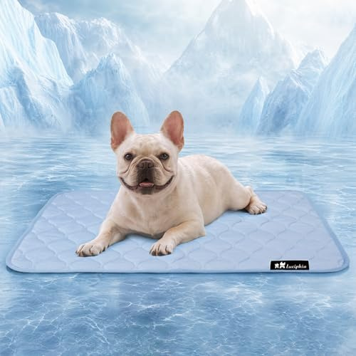 luciphia Alfombrilla refrigerante Impermeable para Perros, Fundas de sofá Lavables para el Verano, Manta refrigerante para Gatos, Perros y Mascotas, Mantas para Perros,Azul Claro,77 x 102cm