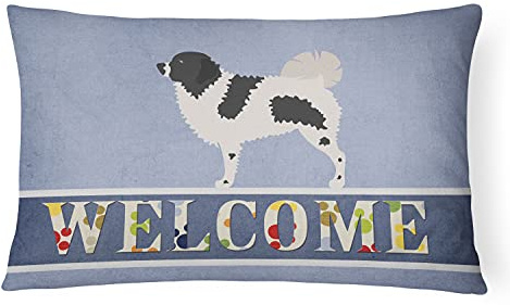 Caroline Tesoros del bb8282pw1216 Wetterhoun frisón Perro de Agua Lienzo Tejido Decorativo Almohada, Multicolor