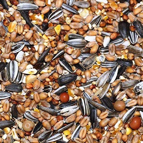 deuka GS Premium Ganzjahres Streufutter 20 kg Vogelfutter Wildvogelfutter