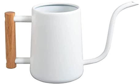 Regadera para plantas – Regadera de metal de acero inoxidable de 1000 ml con caño largo, dispositivo de riego de plantas para plantas de interior, bonsái, jardín, flores, decorativa, color blanco