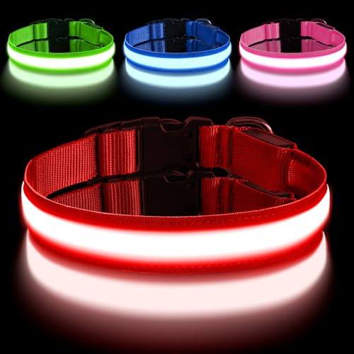 AUAUY Collier Lumineux LED Rechargeable pour Chien, avec Port Type-C, Collier LED Chien Réglable avec 3 Modes D'éclairag, Imperméable, pour Petits, Moyens et Grands Chien (M, Rouge)