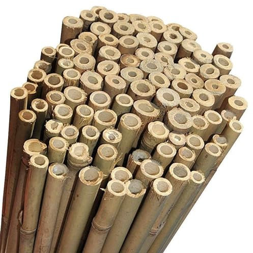 NG NICCOLAI - CANNE BAMBOO PER SOSTEGNO ORTAGGI, ARREDAMENTO E ALTRI USI - VARIE ALTEZZE E MISURE CONFEZIONI DA 10-25 - 50 PEZZI (10, H.210 cm - Ø 22-24 mm)
