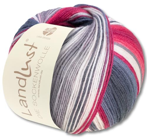 Frida's Wollhaus Lana Grossa 100 g Landlust die Sockenwolle 4-fädig Stricken Wolle Garn 33 Farben (119)