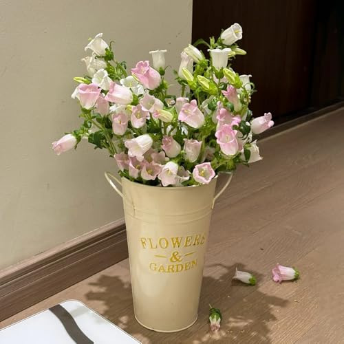 Semillas de campanilla-Campanula Medium,de semillas de,de exterior de jardín,largo período de floración para una de jardín 150pcs