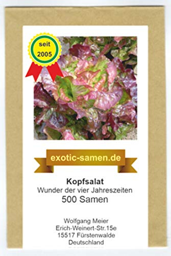 Kopfsalat - Wunder der vier Jahreszeiten - sehr zart - samenfeste Sorte - 500 Samen