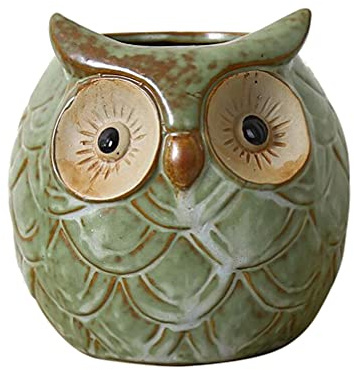 Healifty Owl Shaped Succulent Planters, Cartoon Flower Pot Cute Vase Home Decoration for Succulent Plants Large Size 1pc (As Shown)