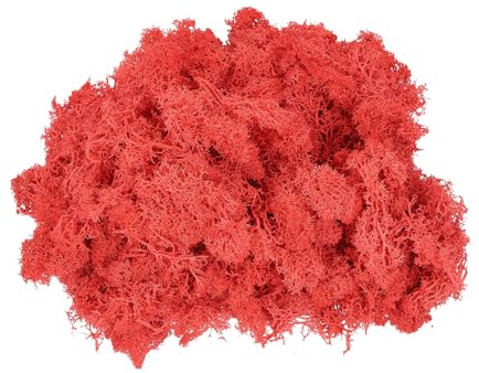 QUARKZMAN 7.4Oz Musgo Renó Preservado, Musgo Artificial Decorativo Rojo Brillante para Plantas En Maceta Manualidades Decoraciones De Interior Líquenes Centros De Mesa